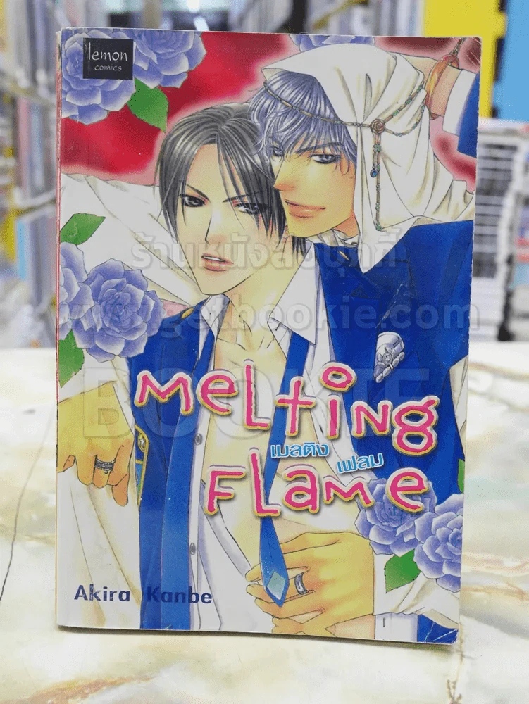 MELTING FLAME รูปที่ 1