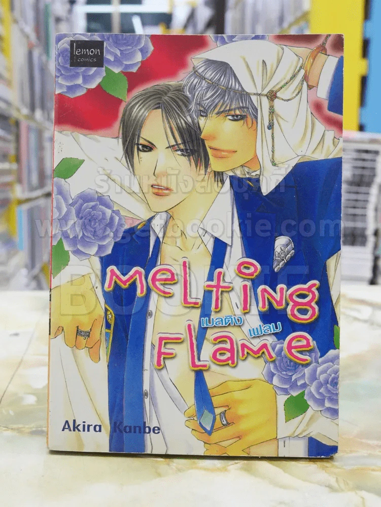 MELTING FLAME รูปที่ 1