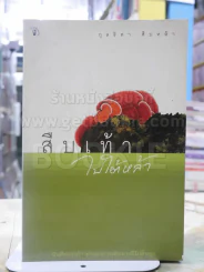 สืบเท้าไปใต้หล้า - กุลธิดา สืบหล้า รูปที่ 1