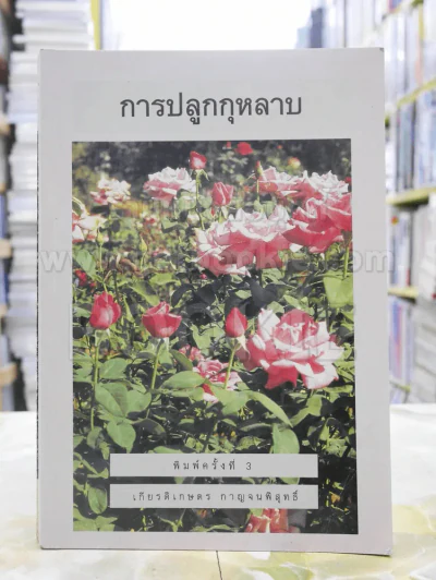 การปลูกกุหลาบ รูปที่ 1
