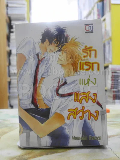 รักแรกแห่งแสงสว่าง รูปที่ 1