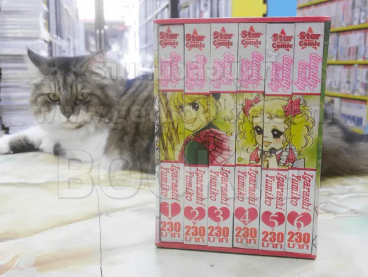 Candy Candy 6 เล่มจบ + Teddy Bear เล่ม 1-2 (ปกแข็ง มือหนึ่ง สี่สีทั้งเล่ม +Teddy Bear ขาว-ดำ) รูปที่ 2