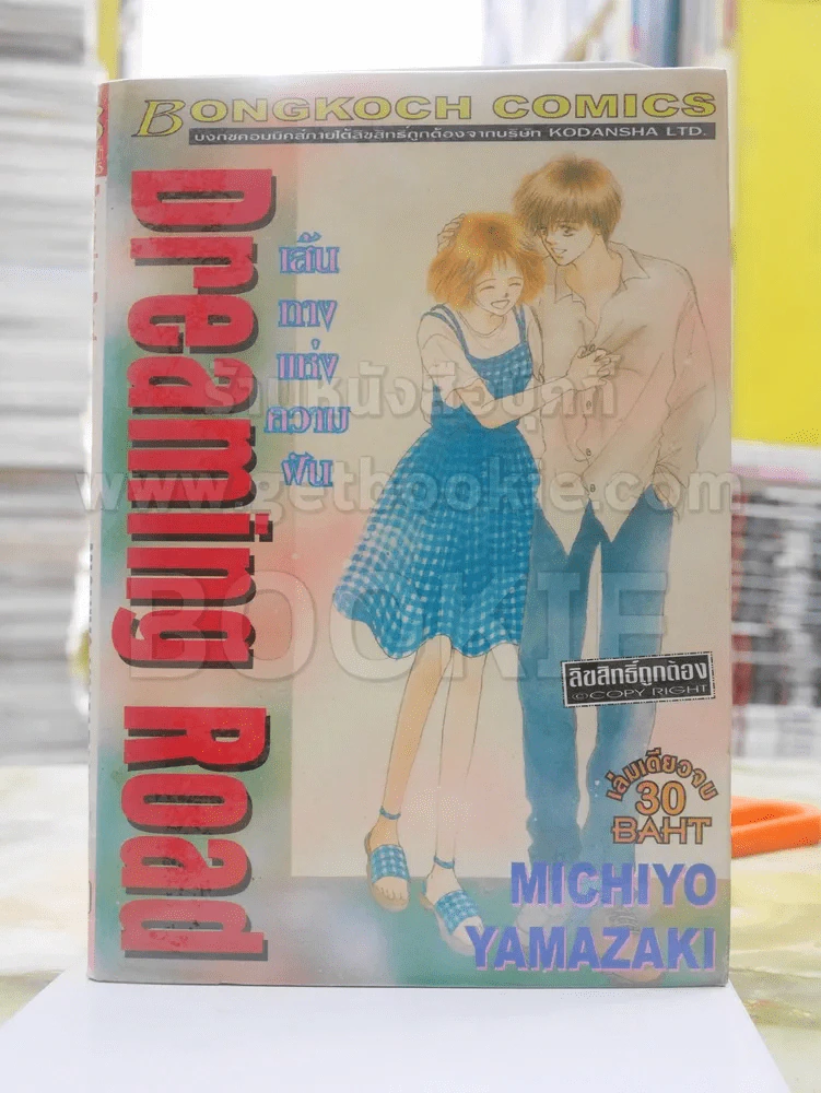 Dreaming Road เส้นทางแห่งความฝัน (สภาพบวมน้ำ) รูปที่ 1