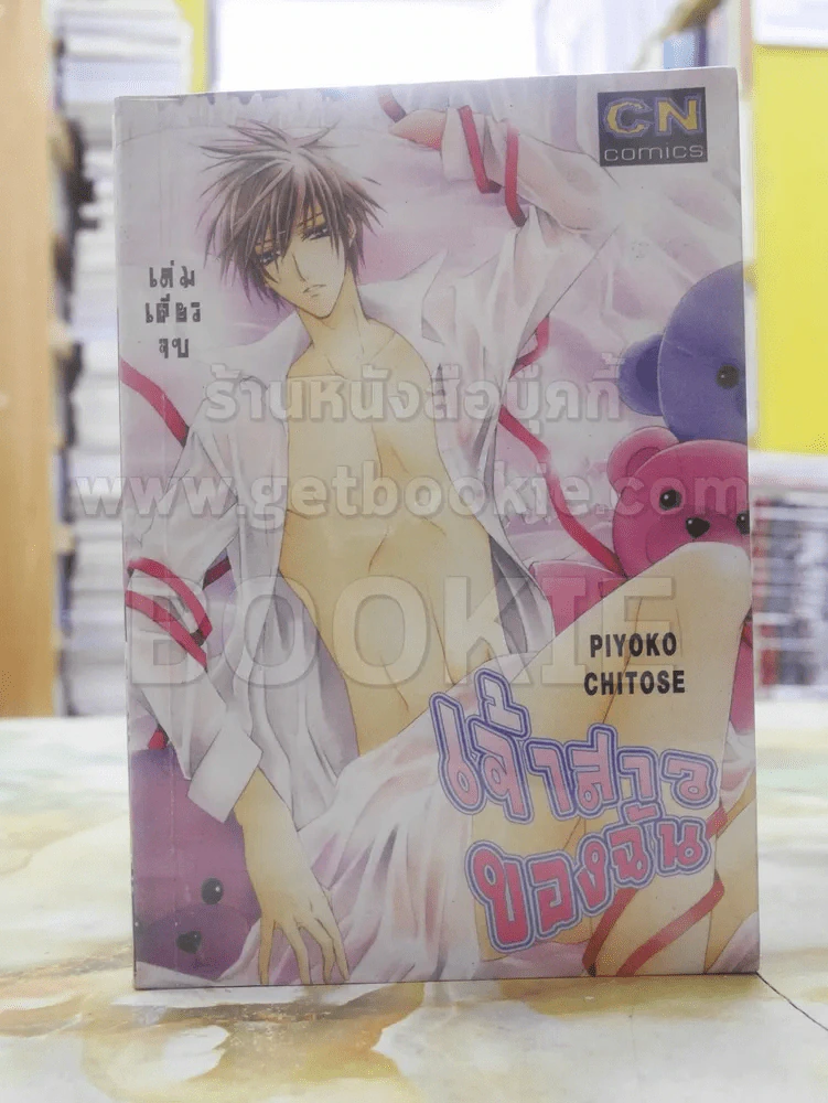 เจ้าสาวของฉัน รูปที่ 1