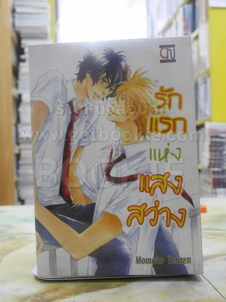 รักแรกแห่งแสงสว่าง รูปที่ 1
