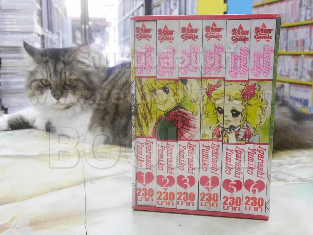 Candy Candy 6 เล่มจบ + Teddy Bear เล่ม 1-2 (ปกแข็ง มือหนึ่ง สี่สีทั้งเล่ม +Teddy Bear ขาว-ดำ) รูปที่ 2