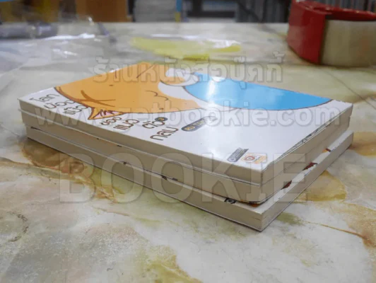 โลกบ้องแบ๊วของแมวตัวกลม เล่ม 1-3 รูปที่ 3