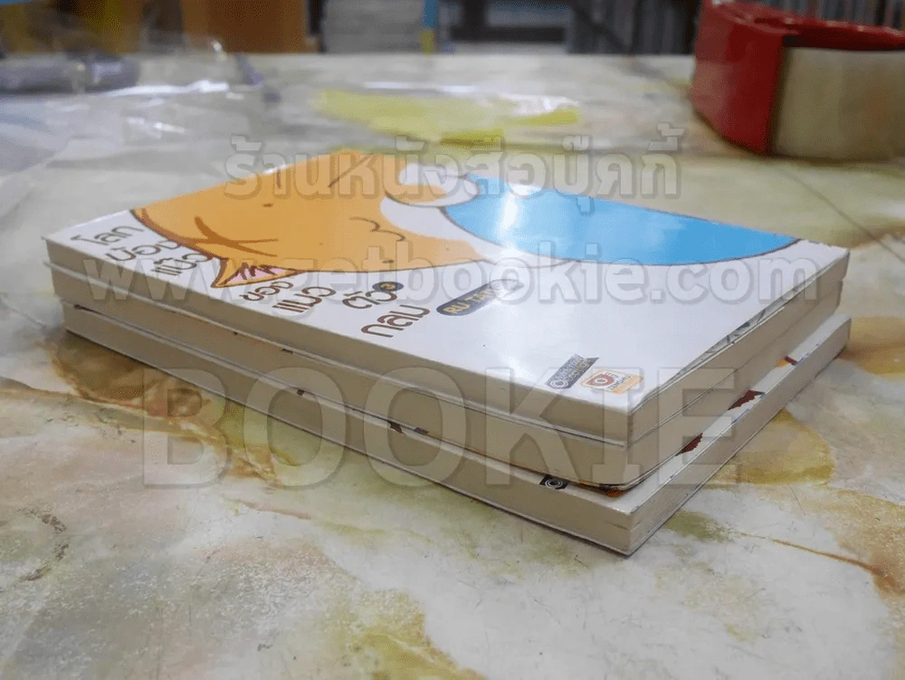 โลกบ้องแบ๊วของแมวตัวกลม เล่ม 1-3 รูปที่ 3