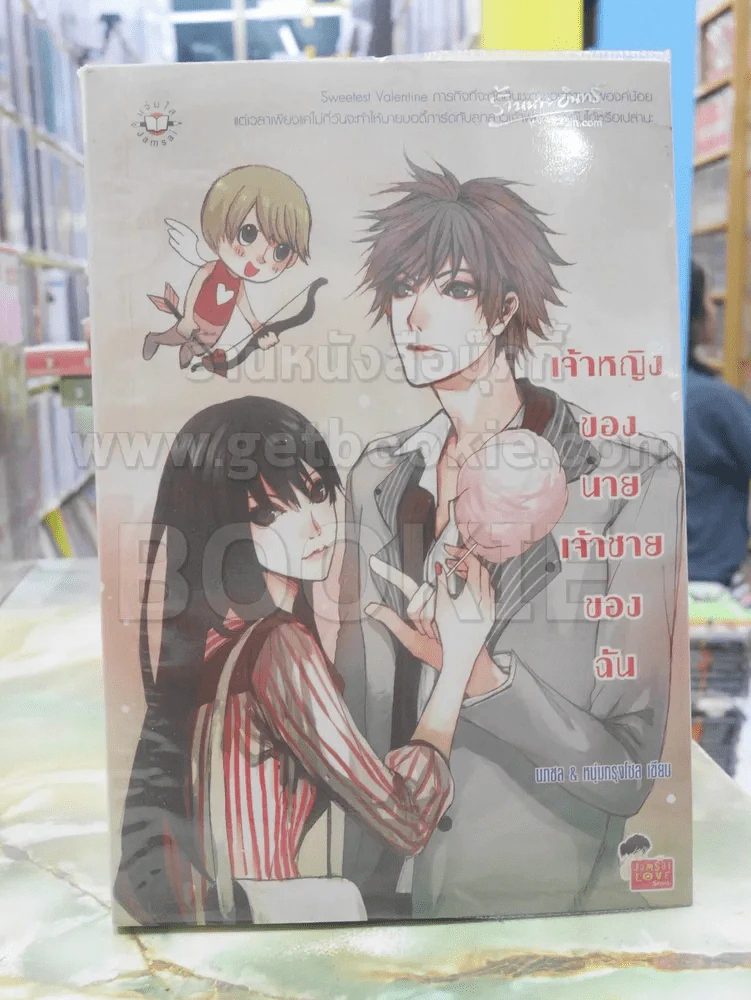 เจ้าหญิงของนาย เจ้าชายของฉัน รูปที่ 1