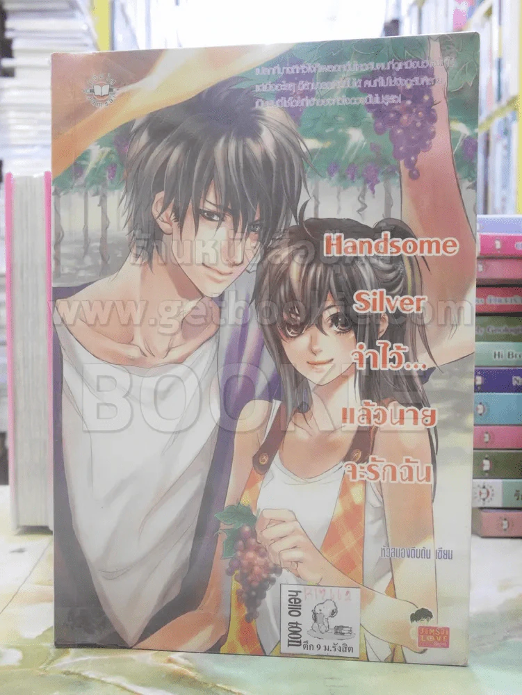 Handsome Silver จำไว้...แล้วนายจะรักฉัน รูปที่ 1