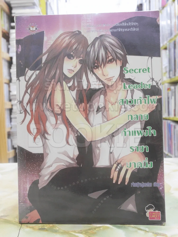 Secret Leader สาวเท้าไฟทลายกำแพงใจราชามาดนิ่ง รูปที่ 1