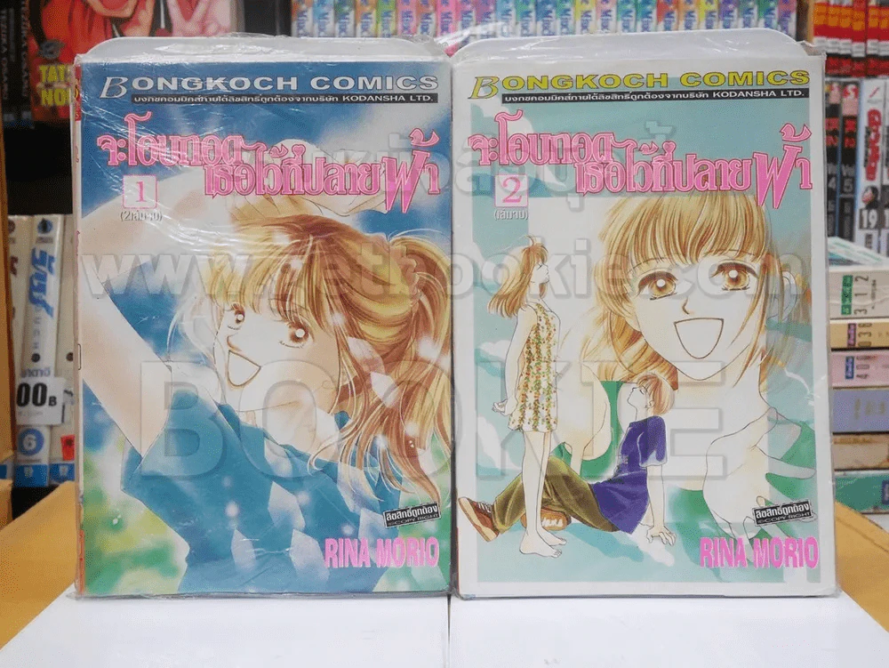 จะโอบกอดเธอไว้ที่ปลายฟ้า 2 เล่มจบ รูปที่ 1
