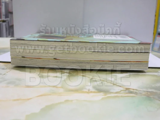 Shaman King Flowers เล่ม 1-3 รูปที่ 4