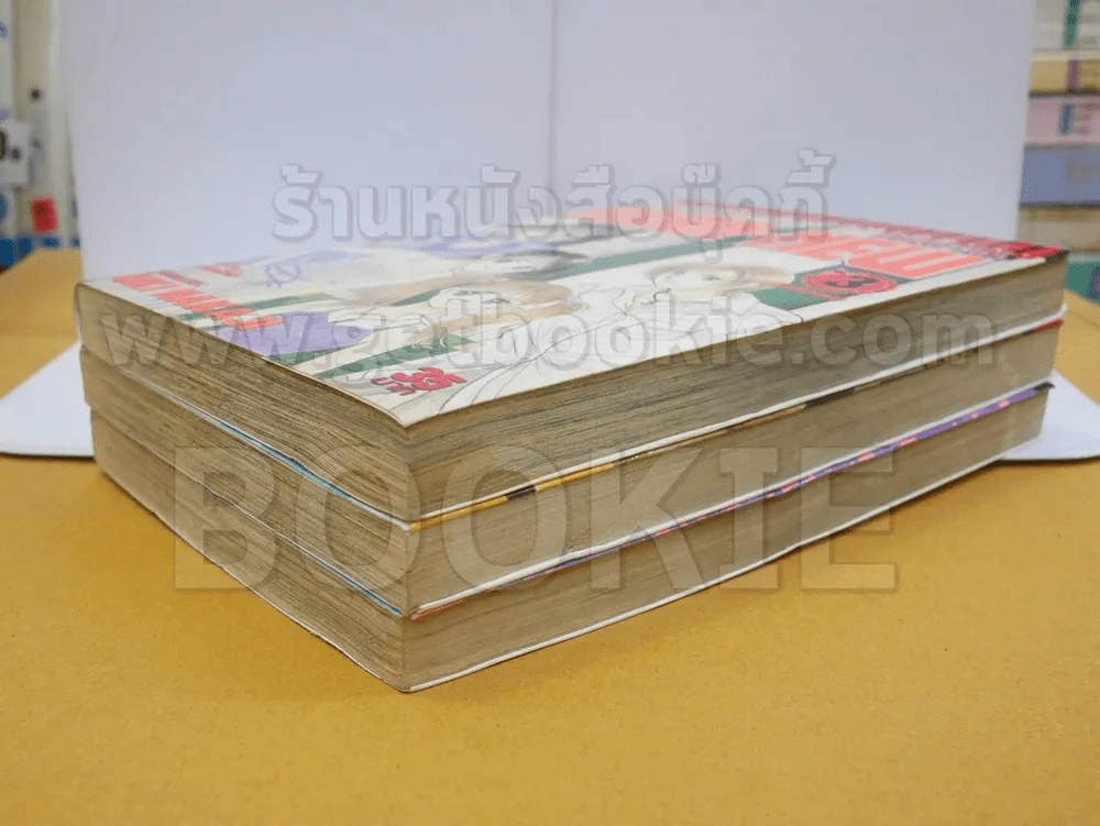 BRAN-NEW แบรน นิว 3 เล่มจบ รูปที่ 3