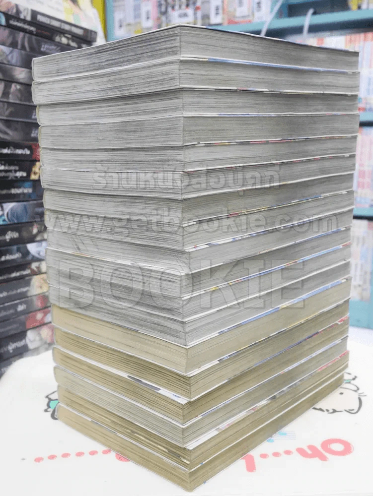 ลุ้นรักตามสายลม 18 เล่มจบ รูปที่ 3
