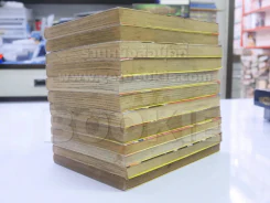 เจ้าชายเทพอสูร เซนกิ ZENKI 12 เล่มจบ รูปที่ 4