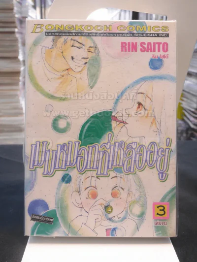 เมฆหมอกที่เหลืออยู่ 3 เล่มจบ รูปที่ 1
