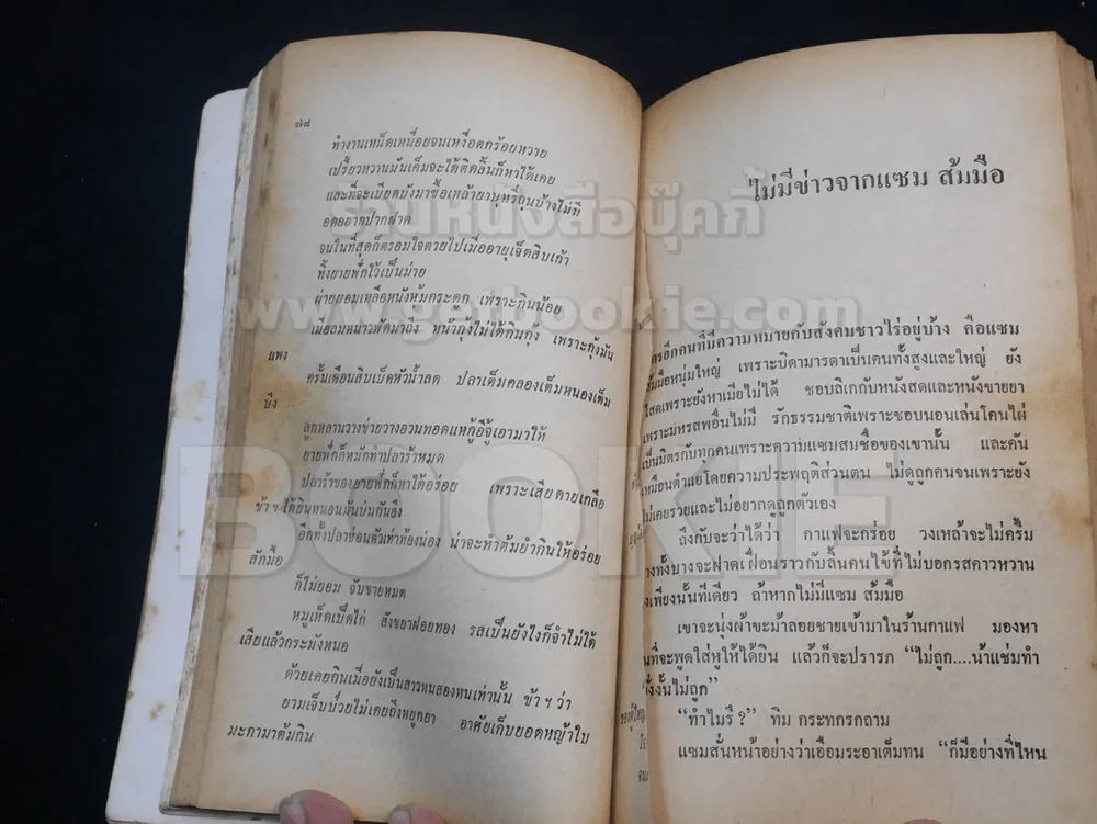 เสเพลบอยชาวไร่ - รงค์ วงษ์สวรรค์ (มีรอยขาดตามภาพ) รูปที่ 4