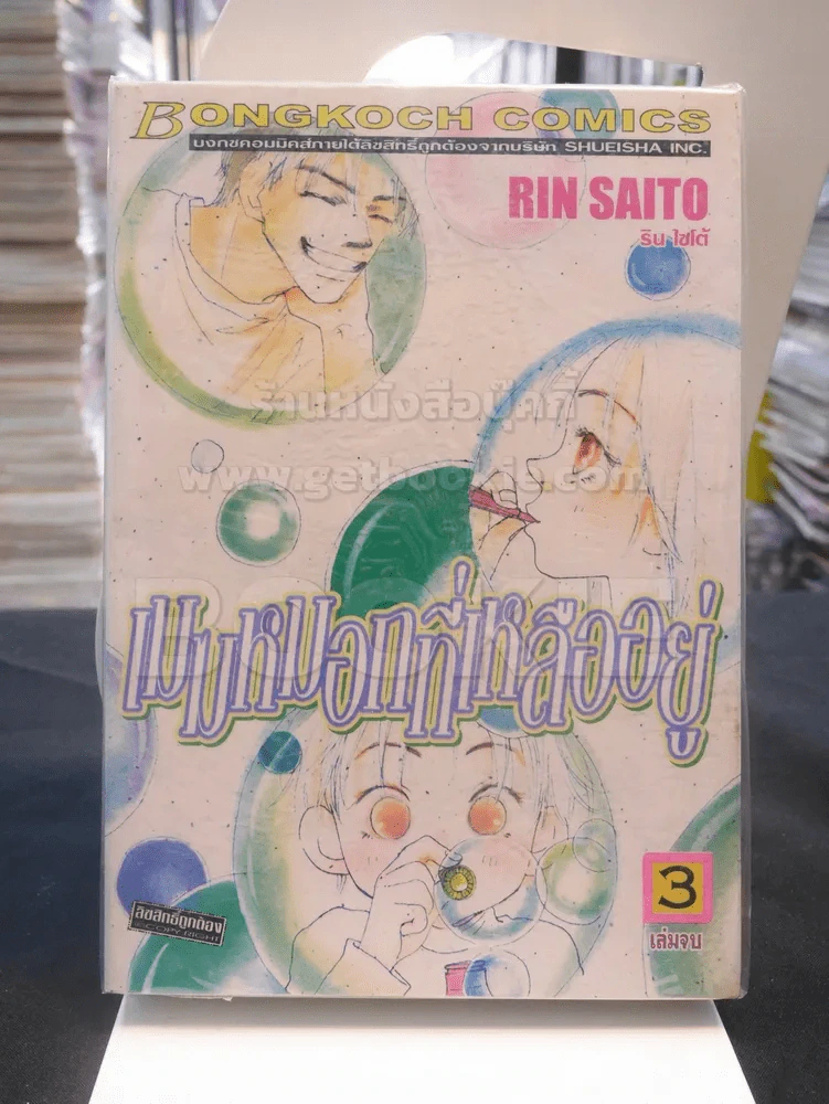 เมฆหมอกที่เหลืออยู่ 3 เล่มจบ รูปที่ 1