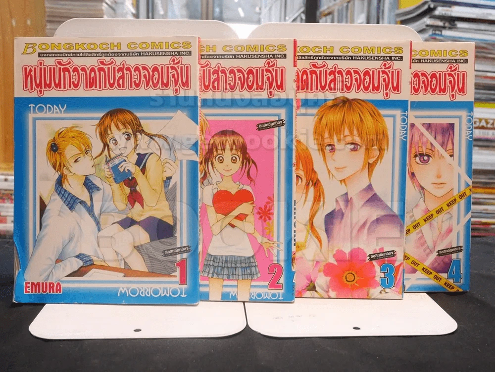 หนุ่มนักวาดกับสาวจอมจุ้น 11 เล่มจบ (มี 1 - 4) รูปที่ 1