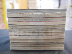ครอสเบลด XBLADE เล่ม 1-11 รูปที่ 4