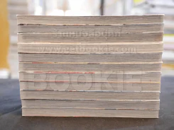 ตำนานประหลาดสุนัขทั้งแปดแห่งบูรพาทิศ เล่ม 1-11 รูปที่ 3