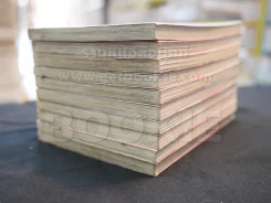 สาวเมดผจญหนุ่มสุดป่วน เล่ม 1-10 รูปที่ 4