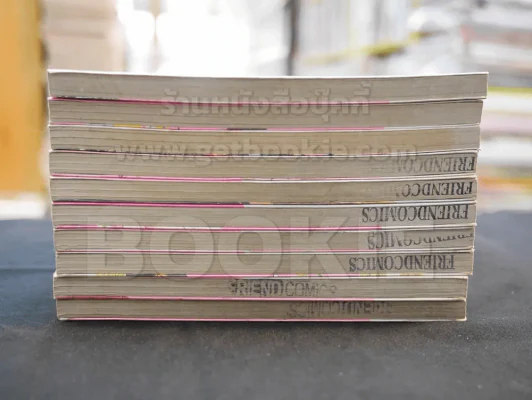 สาวเมดผจญหนุ่มสุดป่วน เล่ม 1-10 รูปที่ 3