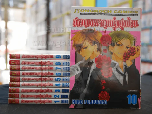 สาวเมดผจญหนุ่มสุดป่วน เล่ม 1-10 รูปที่ 1