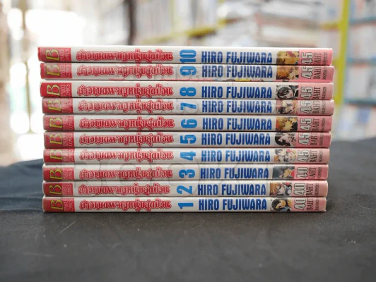 สาวเมดผจญหนุ่มสุดป่วน เล่ม 1-10 รูปที่ 2