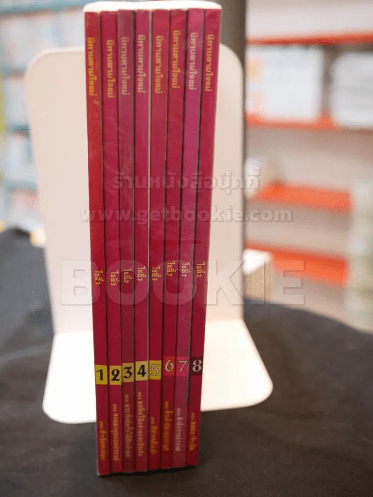 ไซอิ๋ว การ์ตูน เล่ม 1 - 8 รูปที่ 2