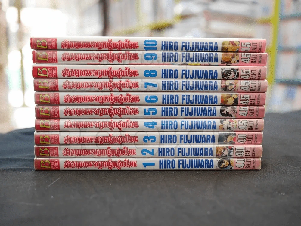สาวเมดผจญหนุ่มสุดป่วน เล่ม 1-10 รูปที่ 2