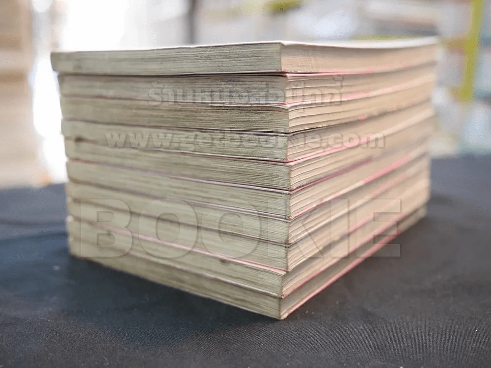 สาวเมดผจญหนุ่มสุดป่วน เล่ม 1-10 รูปที่ 4