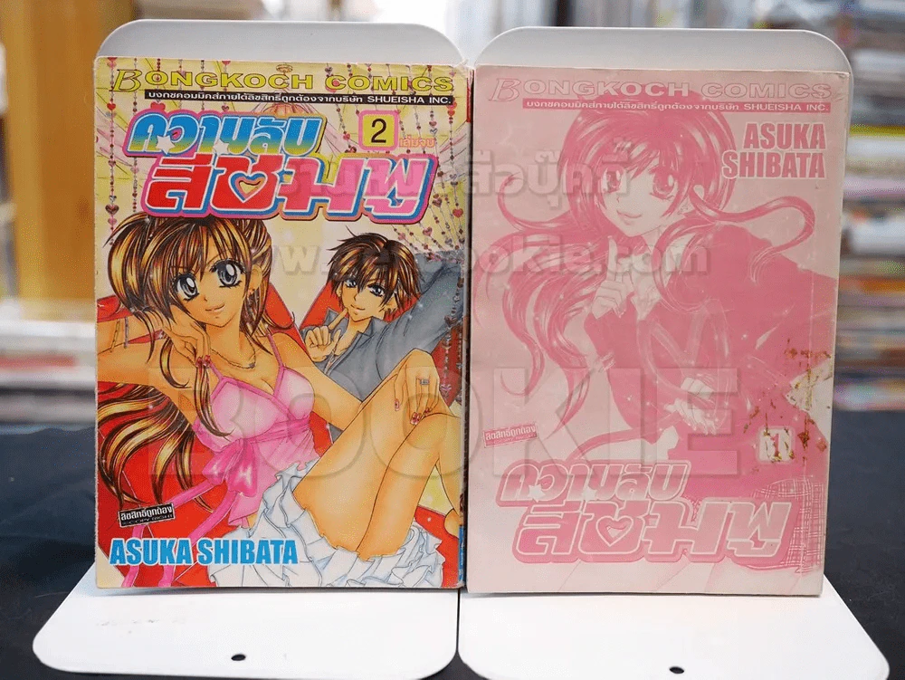 ความลับสีชมพู 2 เล่มจบ (เล่ม 1 ไม่มีปก) รูปที่ 1
