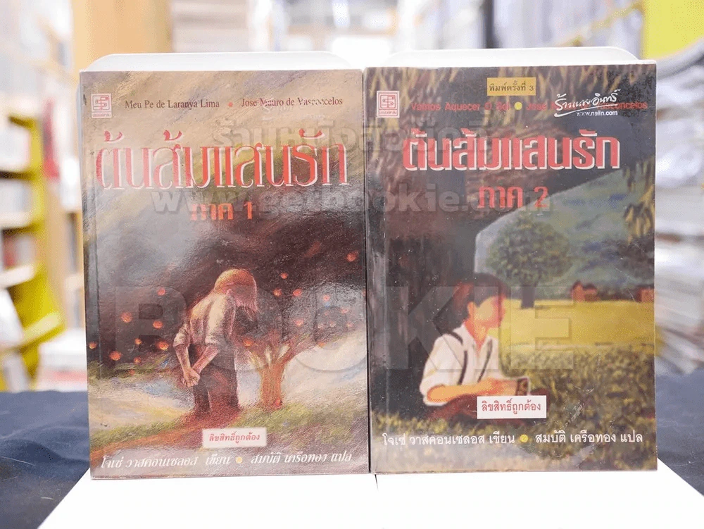 ต้นส้มแสนรัก ภาค 1-2 รูปที่ 1