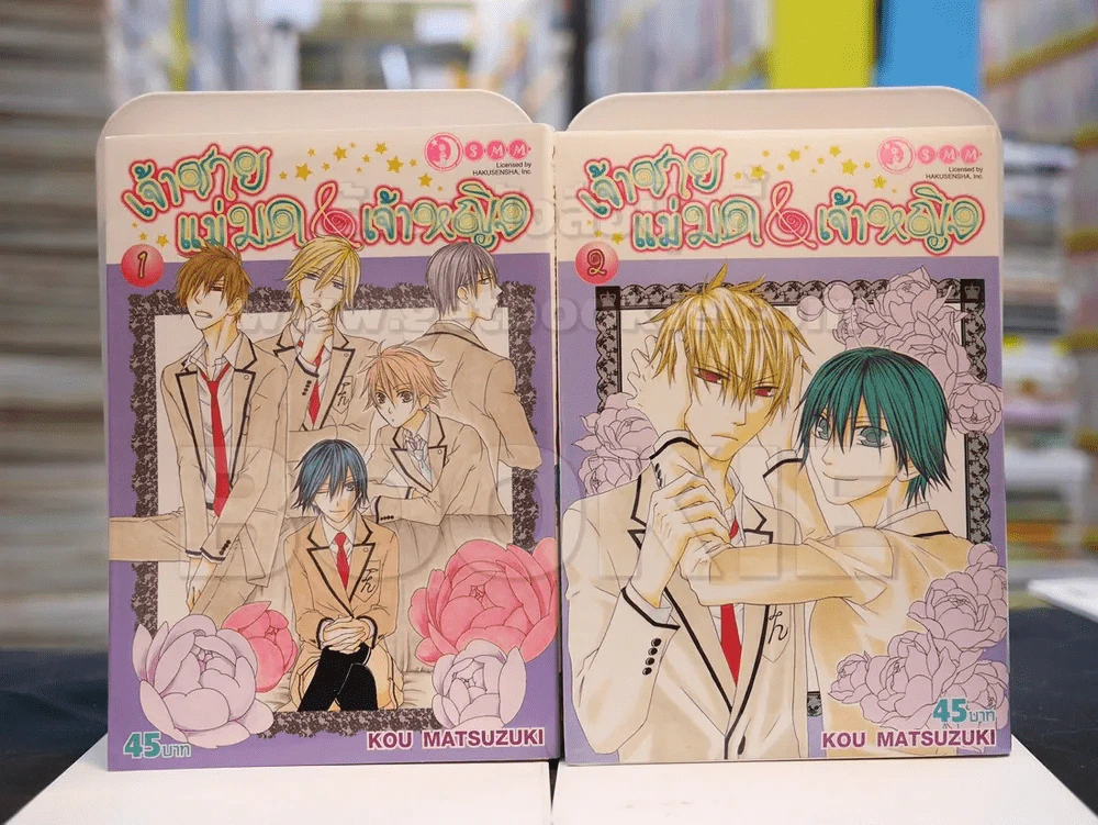 เจ้าชายแม่มด&เจ้าหญิง เล่ม 1-2 รูปที่ 1