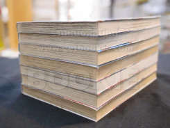 มาโคโตะ เดอะแชมเปี้ยม แดง 1-3 น้ำเงิน 1-3  แดง น้ำเงิน เล่ม 4 รูปที่ 4