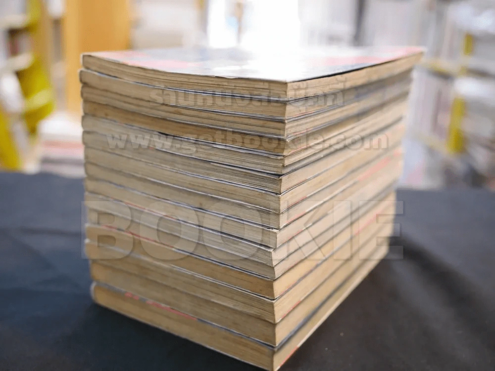 หน้ากากปีศาจพิฆาตทรชน เล่ม 1-15 รูปที่ 4