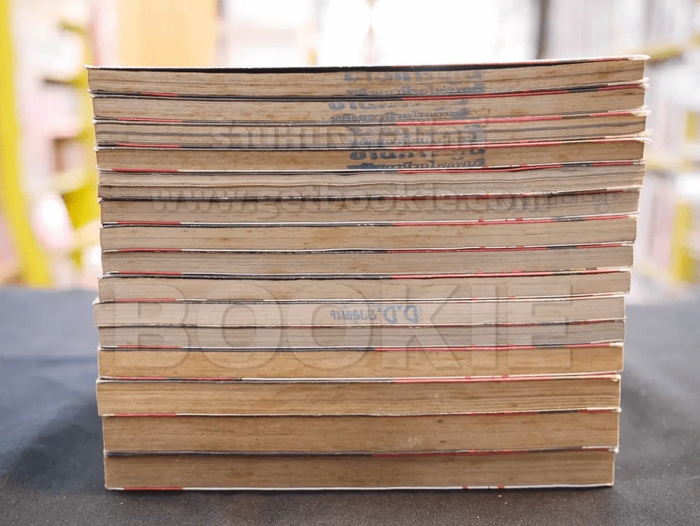 หน้ากากปีศาจพิฆาตทรชน เล่ม 1-15 รูปที่ 3
