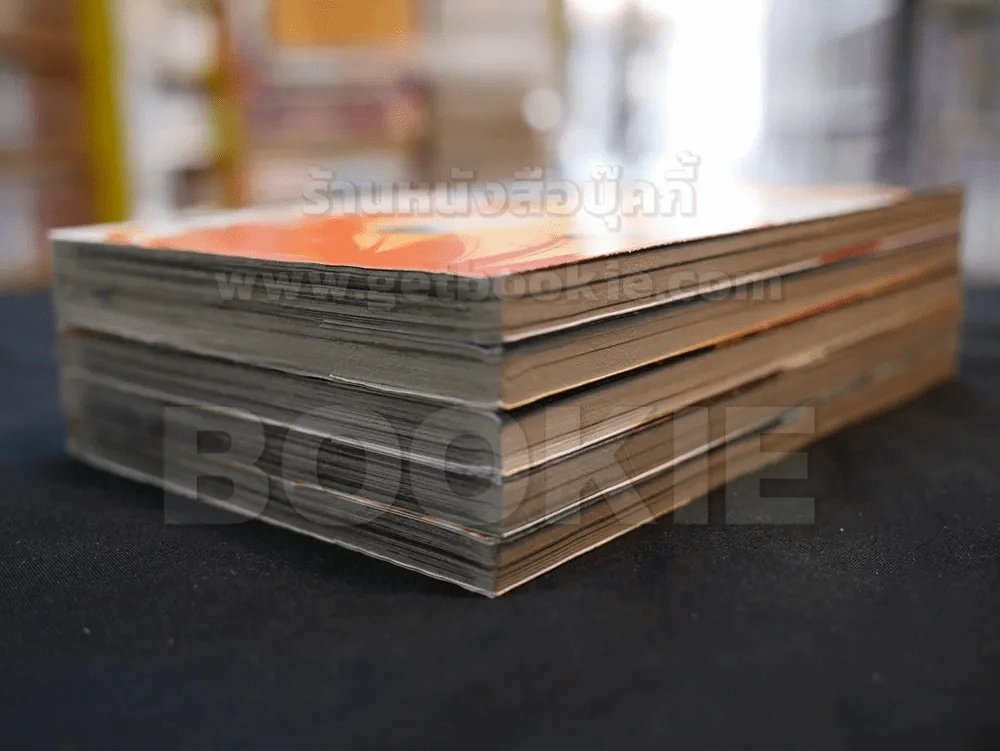 ลำนำรักข้ามเวลา เล่ม 1-5 รูปที่ 4