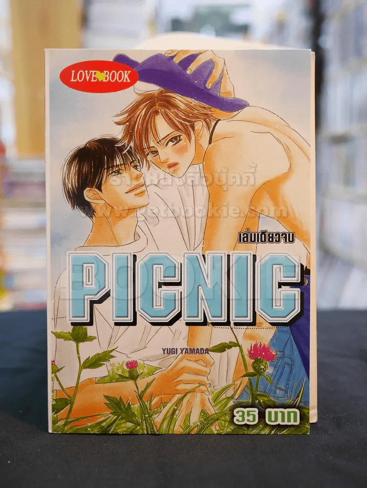 PICNIC รูปที่ 1