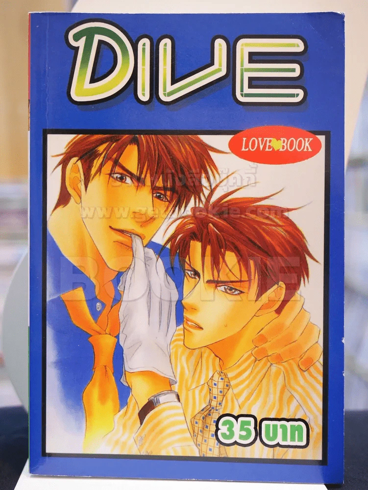 DIVE รูปที่ 1