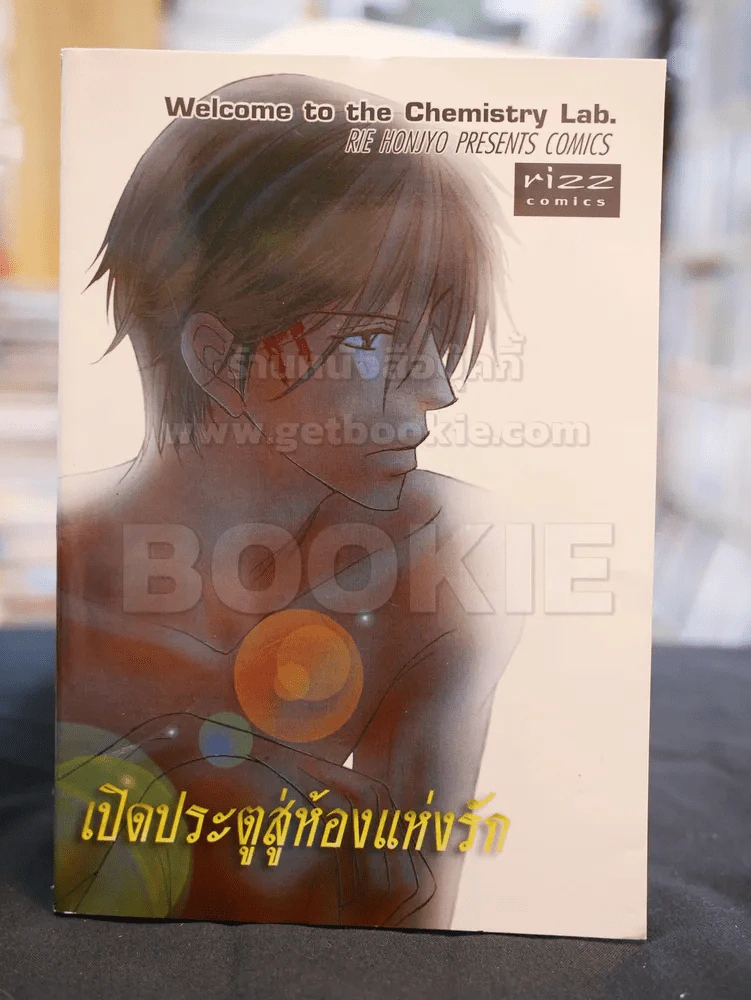เปิดประตูสู่ห้องแห่งรัก รูปที่ 1