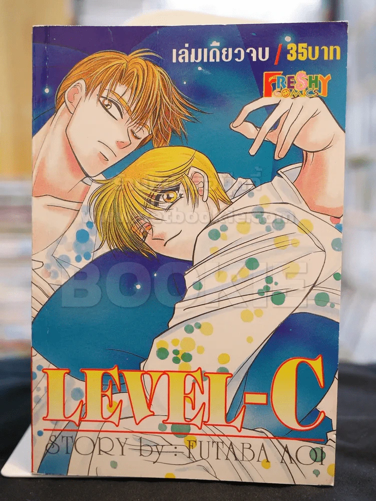 LEVEL-C รูปที่ 1