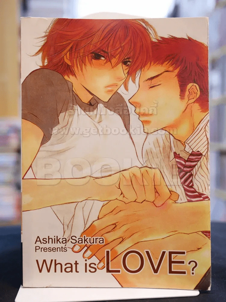 What is LOVE ? รูปที่ 1