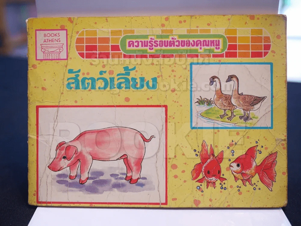 ความรู้รอบตัวของคุณหนู สัตว์เลี้ยง รูปที่ 1