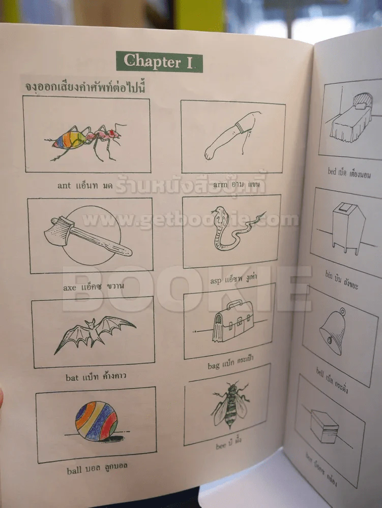 ศัพท์ภาษาอังกฤษสำหรับเด็ก รูปที่ 3