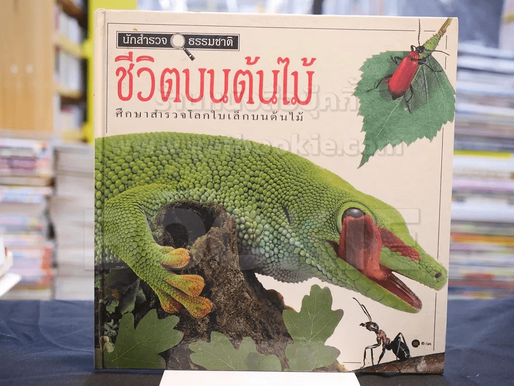 นักสำรวจธรรมชาติ ชุด 6 เล่ม (ขาดเล่ม 4) ปกแข็ง รูปที่ 10