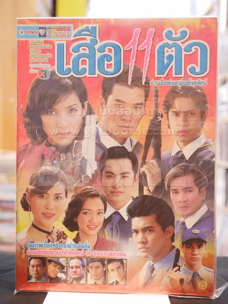 เสือ11ตัว รูปที่ 1