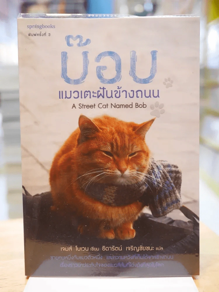 บ๊อบ แมวเตะฝันข้างถนน รูปที่ 1